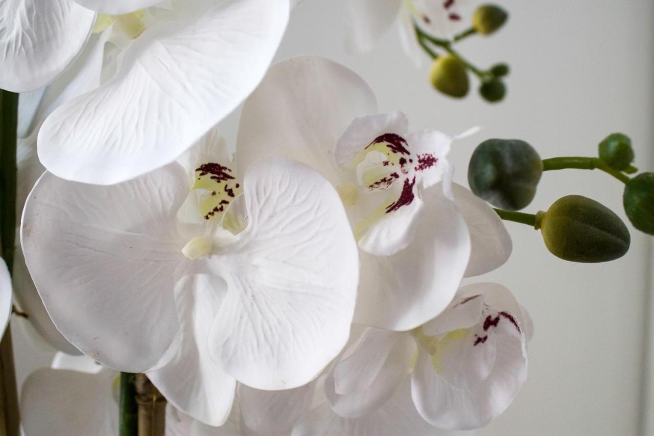 White Orchid Pula Apartment Exterior foto