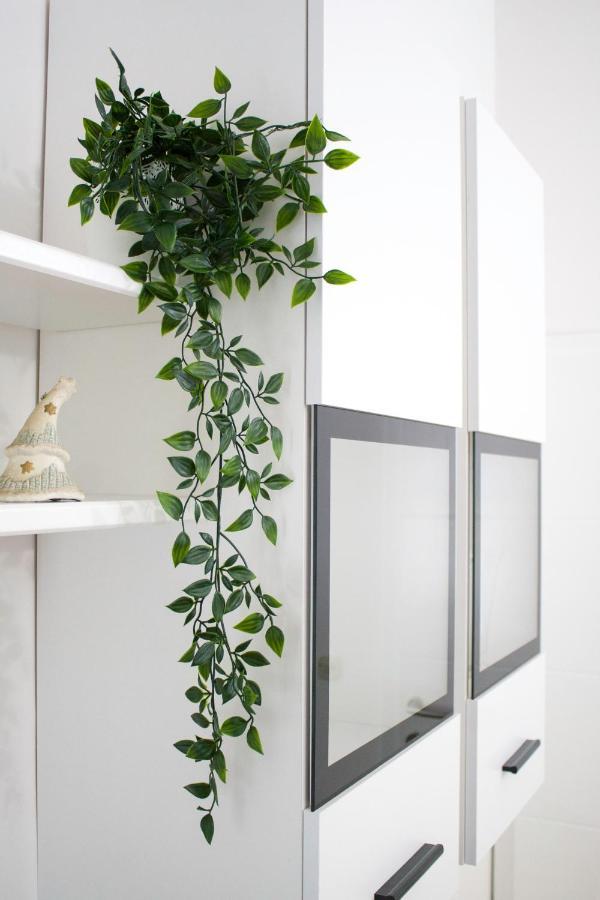 White Orchid Pula Apartment Exterior foto